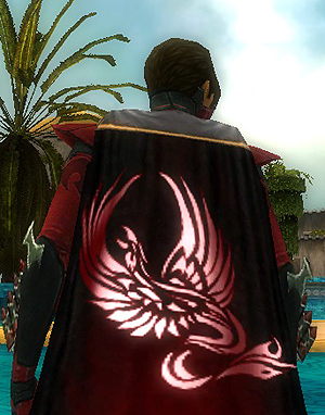 File:Guild The Crimson Skull Lords cape.jpg