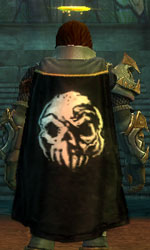 File:Guild The Dead Seven cape.jpg