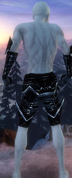 File:Necromancer Elite Profane armor m black back arms legs.jpg
