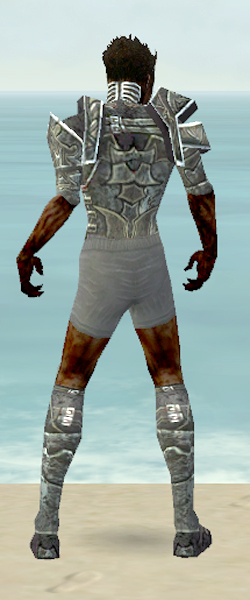 File:Necromancer Fanatic armor m gray back chest feet.jpg
