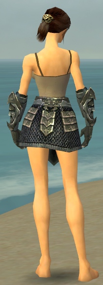 File:Warrior Elite Templar armor f gray back arms legs.jpg