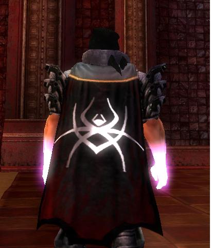 File:Guild Knights Of Echovald cape.jpg