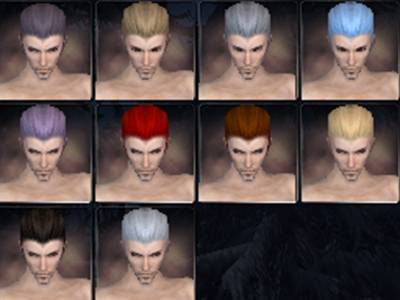 File:Elemental prophecies hair color m.jpg