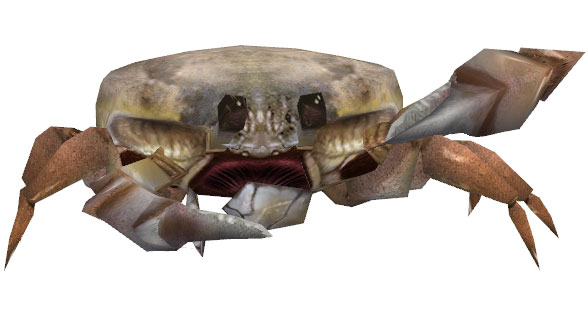 File:White Crab.jpg