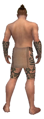 File:Monk Star armor m gray back arms legs.jpg