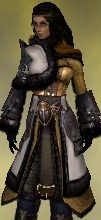File:Screenshot Ranger Norn armor f dyed Yellow.jpg