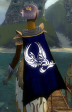 Guild Royal Order Of Chaos cape.png