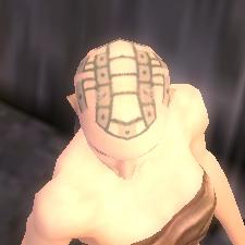 File:Monk Luxon armor f gray top head.jpg