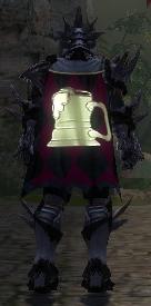 Guild Awesome In The Extreme cape.jpg