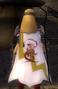 File:Guild Conquering Soldiers cape.jpg