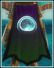 File:Guild Meeting of the Lost Minds cape.jpg