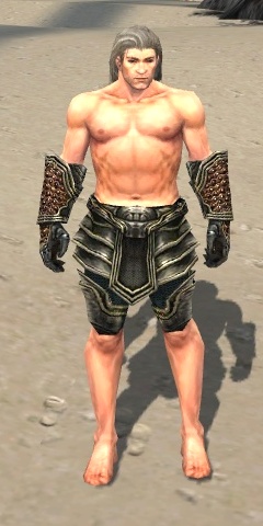 File:Warrior Kurzick armor m gray front arms legs.jpg