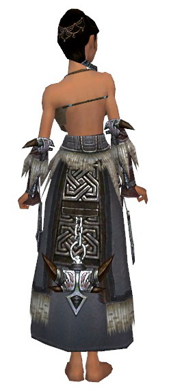 File:Dervish Norn armor f gray back arms legs.png