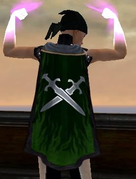 File:Guild The High Chronicles Cape.jpg