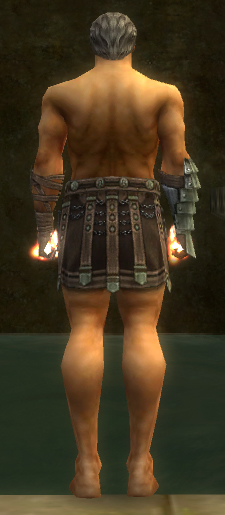 File:Warrior Elite Gladiator armor m gray back arms legs.jpg