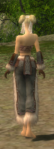 File:Monk Norn armor f gray back arms legs.jpg