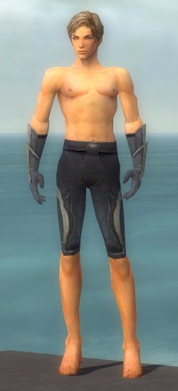 File:Elementalist Ascalon armor m gray front arms legs.jpg
