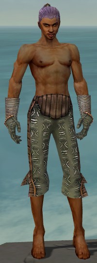 File:Elementalist Istani armor m gray front arms legs.jpg