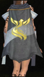 Guild The Guild Hall And Friends cape.jpg