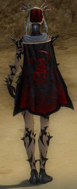 File:Guild Vicious Blood Brothers cape.jpg
