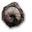 Fossilized Shellfish.png