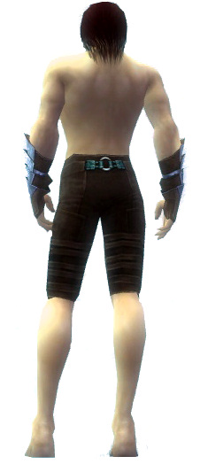 File:Ranger monument armor m leggings gloves back.jpg