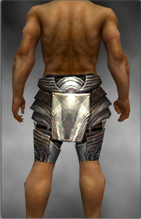 File:Warrior Stalwart Leggings armor m gray back.jpg