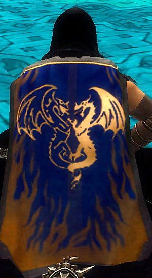 File:Guild We Want Your cape.jpg
