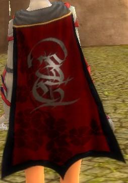File:Guild The United Heroes cape.jpg