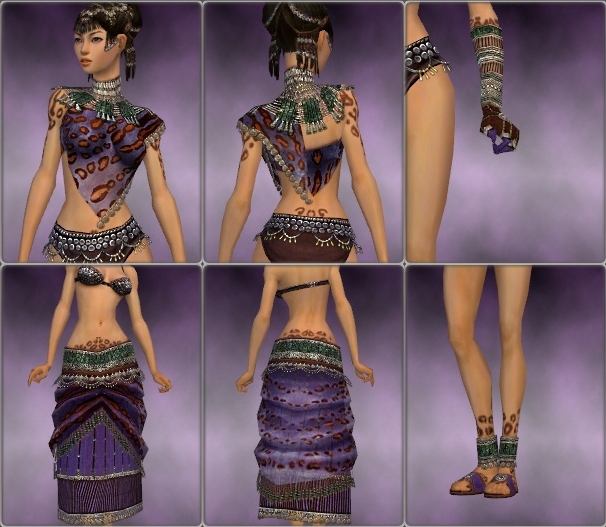 File:Ritualist Elite Exotic armor f purple overview.jpg