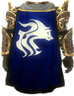 Guild Heroic Order Of Tyria cape.JPG