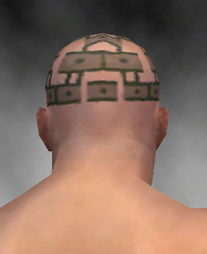 File:Monk Luxon armor m gray back head.jpg