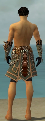 Ritualist Elite Imperial armor m gray back arms legs.jpg