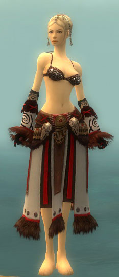 File:Ritualist Norn armor f gray front arms legs.jpg