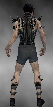 File:Necromancer Obsidian armor m gray back chest feet.jpg