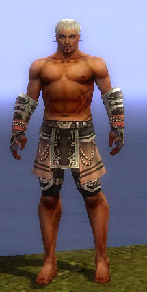 File:Warrior Ancient armor m gray front arms legs.jpg