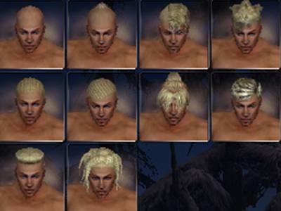 File:Monk nightfall hair style m.jpg