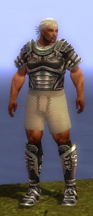 File:Warrior Ancient armor m gray front chest feet.jpg