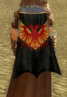 File:Guild The Warlords Of Destruction cape.jpg
