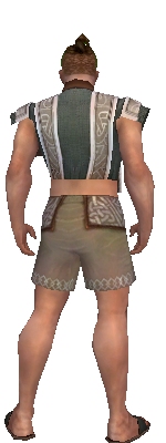 File:Monk Tyrian armor m gray back chest feet.jpg