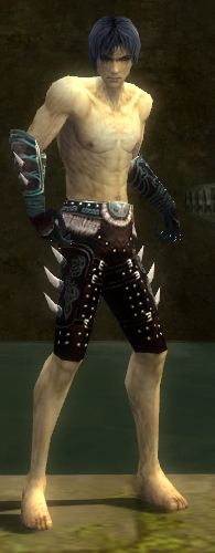 File:Necromancer Norn armor m gray front arms legs.jpg