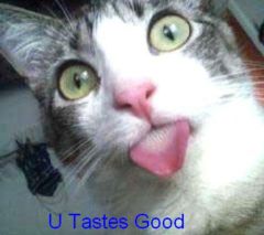 File:User Kigofcats U tastes good.jpg