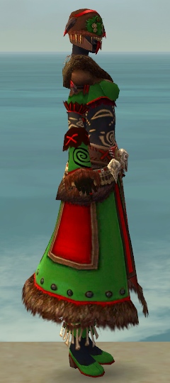 File:Ritualist Norn armor f dyed right.jpg