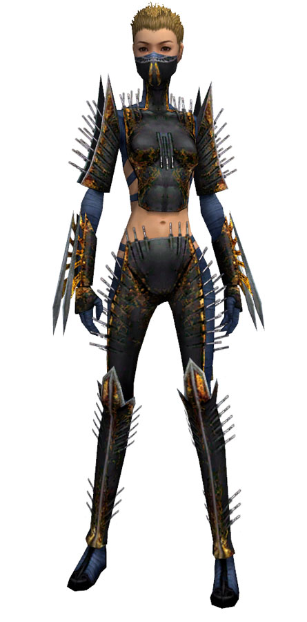 Assassin Exotic armor f.jpg