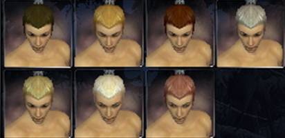 File:Assassin factions hair color m.jpg