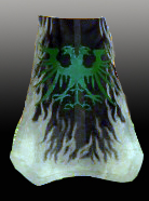File:Guild Order Of The Tempest Dragons cape.jpg