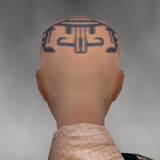 File:Monk Ancient armor f gray back head.jpg