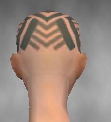 File:Monk Labyrinthine armor f gray back head.jpg
