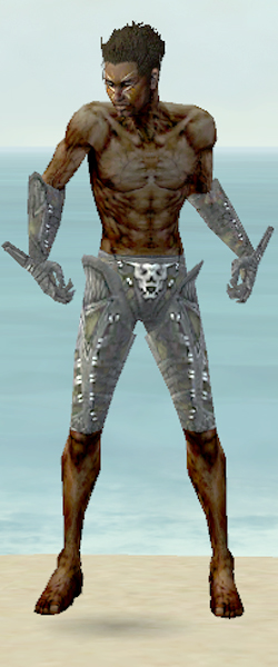 File:Necromancer Necrotic armor m gray front arms legs.jpg