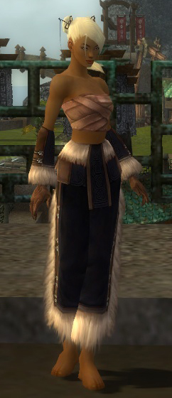 File:Monk Norn armor f black front arms legs.jpg